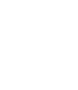dfs logo